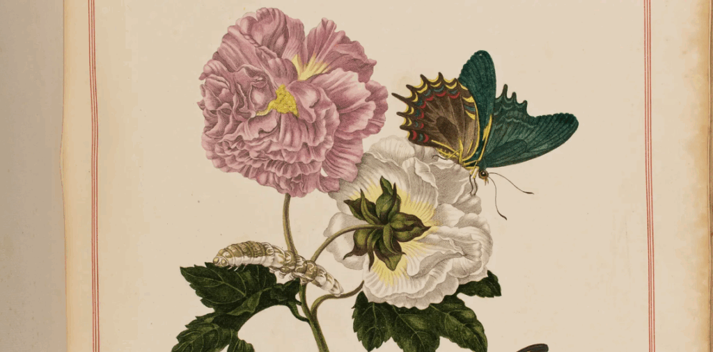 Illustrated flower books
